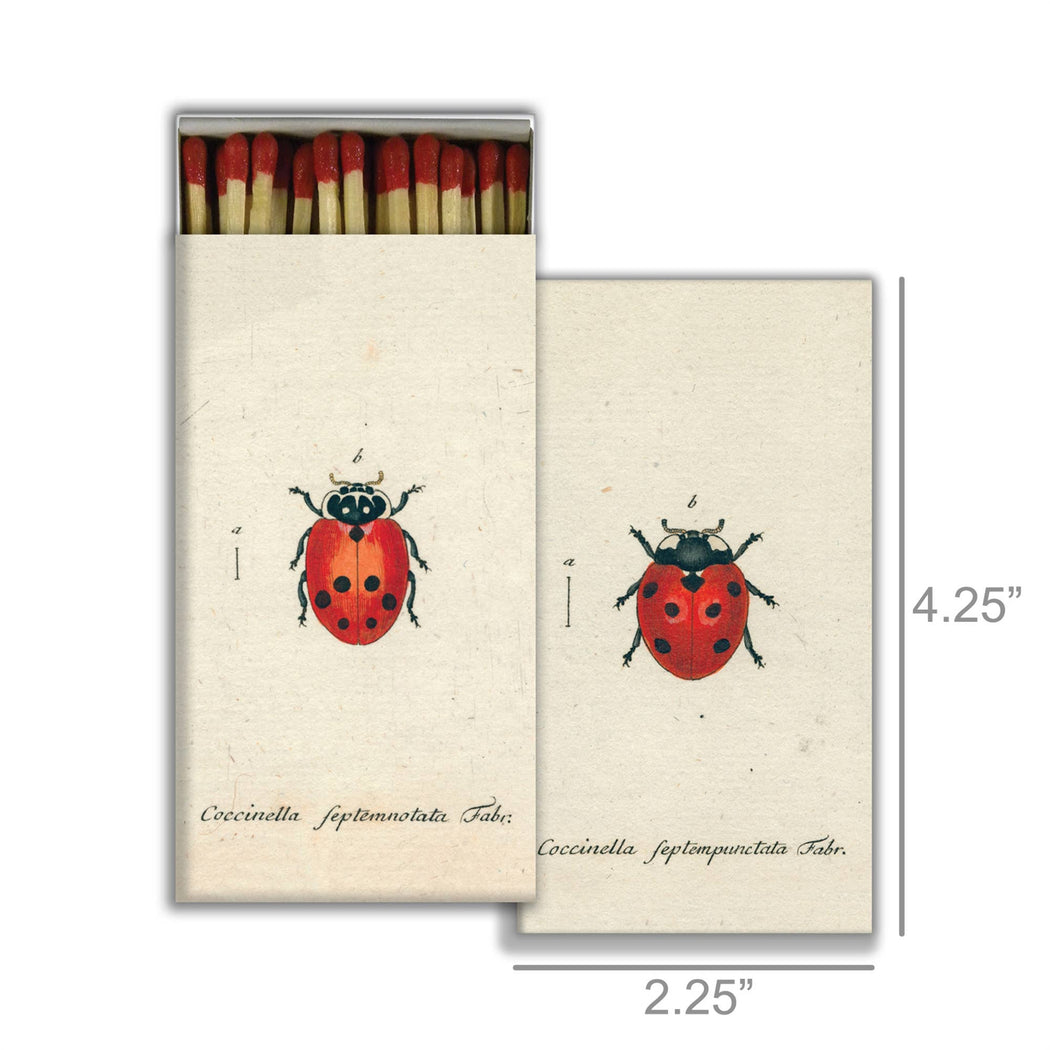 Matches :: Little Lady Bug