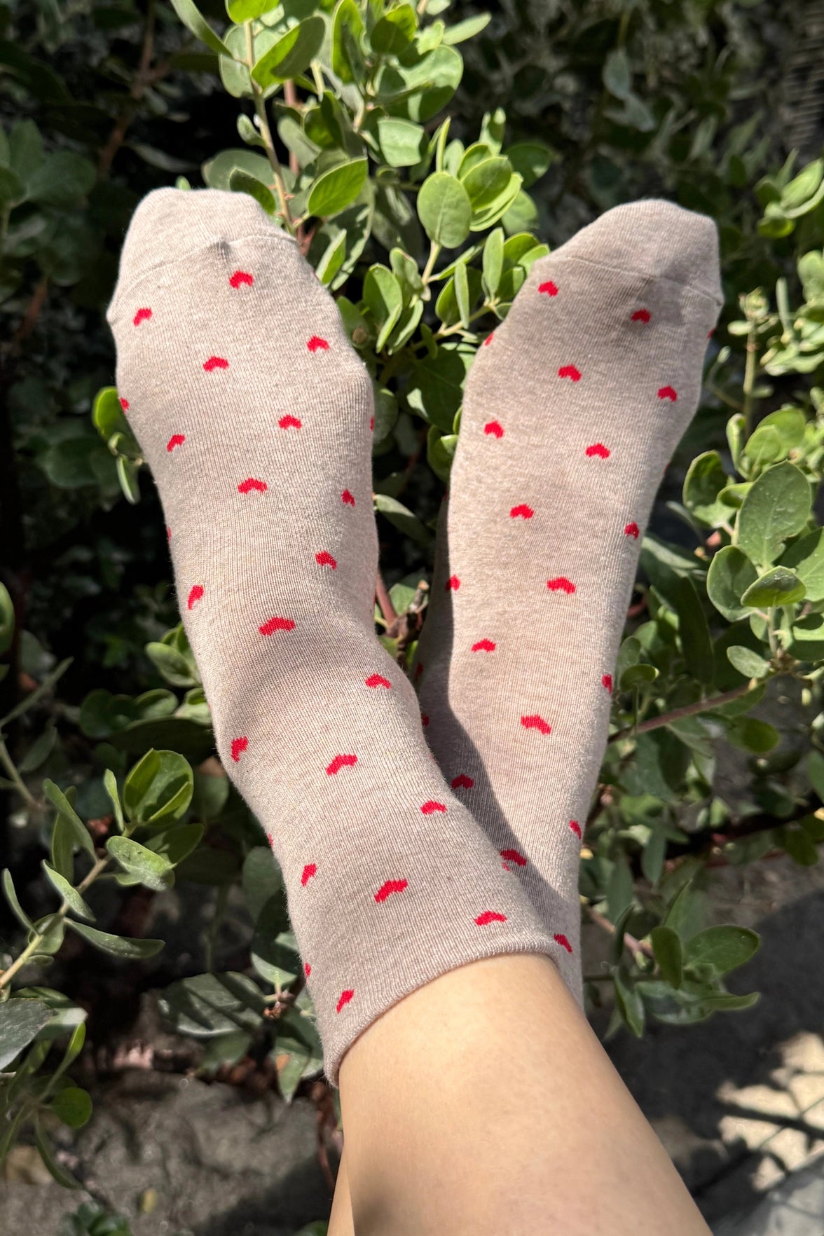 Le Bon Shoppe :: Sneaker Socks, Seasonal Colors