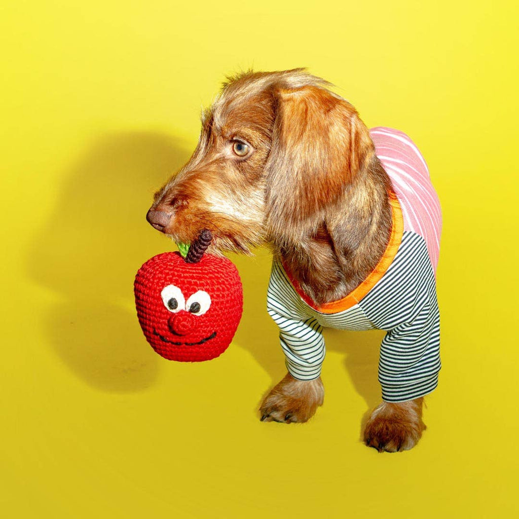 Ware of the Dog :: Cotton Crochet Apple Dog Toy