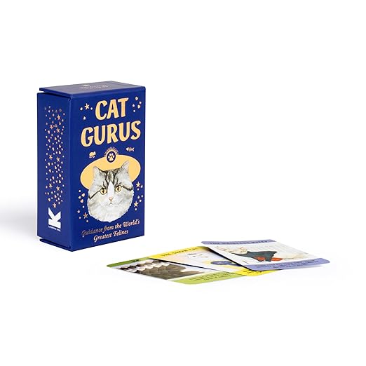 Cat Gurus Mini Guidance Deck