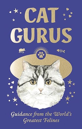 Cat Gurus Mini Guidance Deck