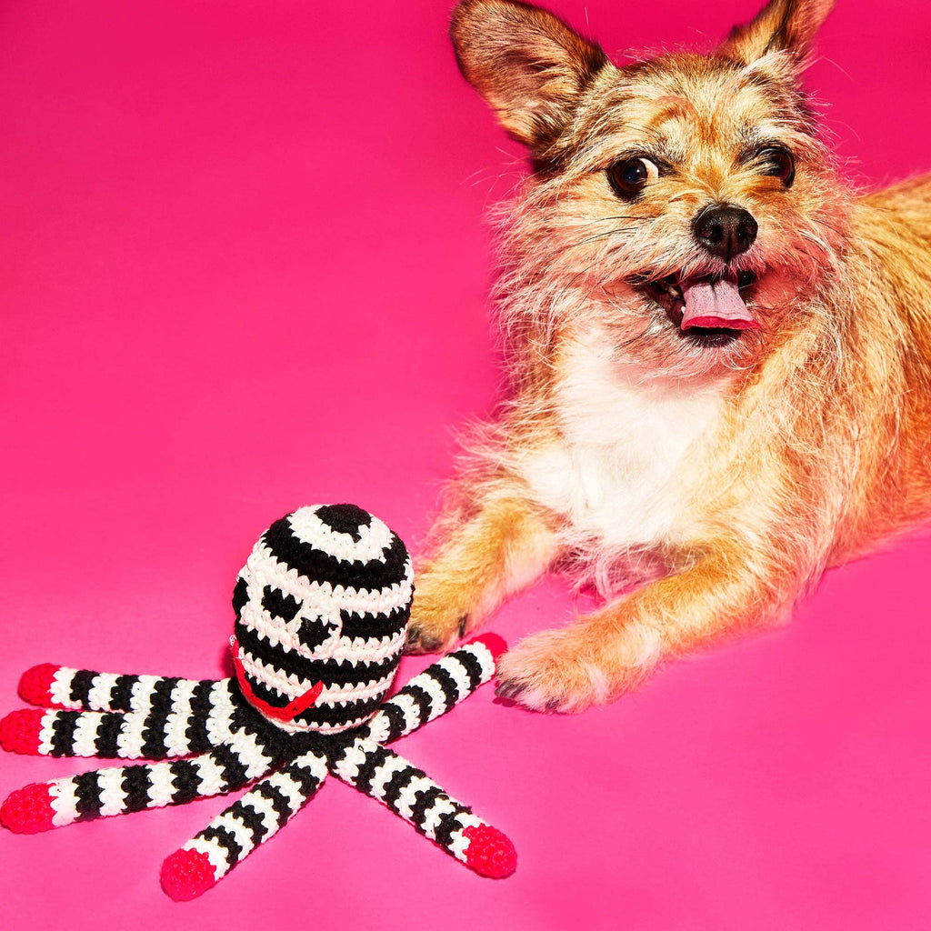 Ware of the Dog :: Hand Crochet Octopus Dog Toy