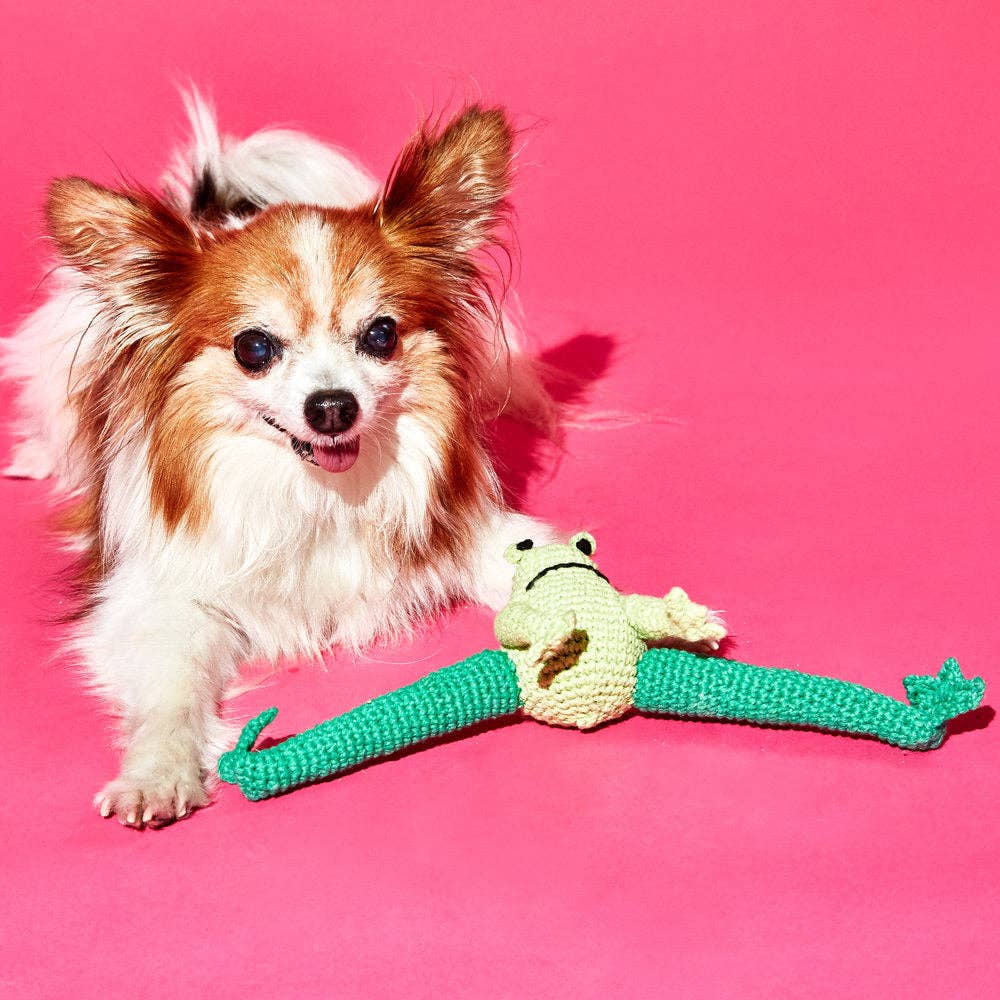 Ware of the Dog :: Hand Crochet Frog Dog Toy