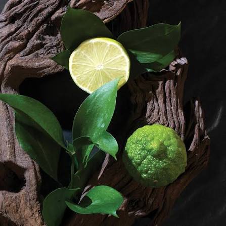 Cerato :: Vibrant Field Perfume Oil