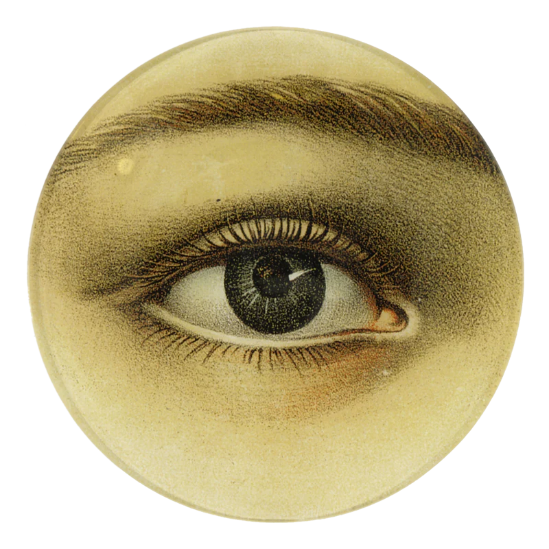 John Derian :: 5 1/4" Round Plate