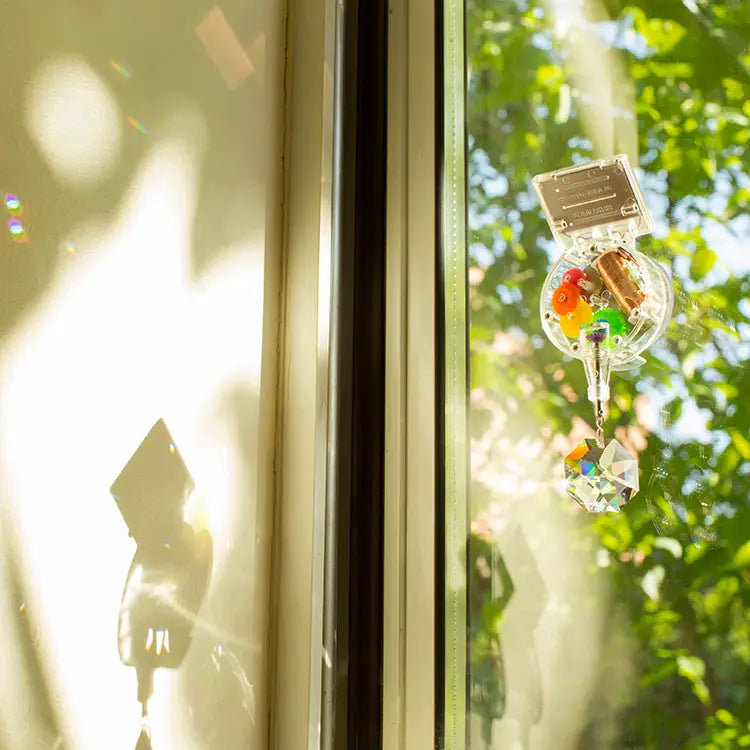 Kikkerland :: Rainbowmaker