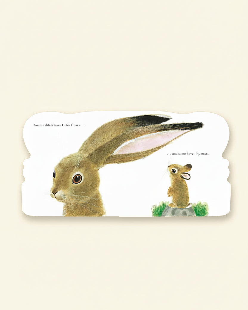 Richard Scarry's Bunnies