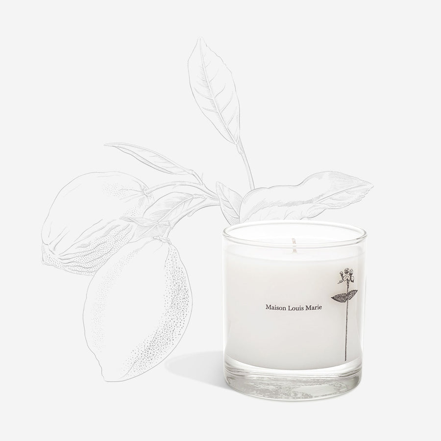 Maison Louis Marie :: Antidris Lime Candle
