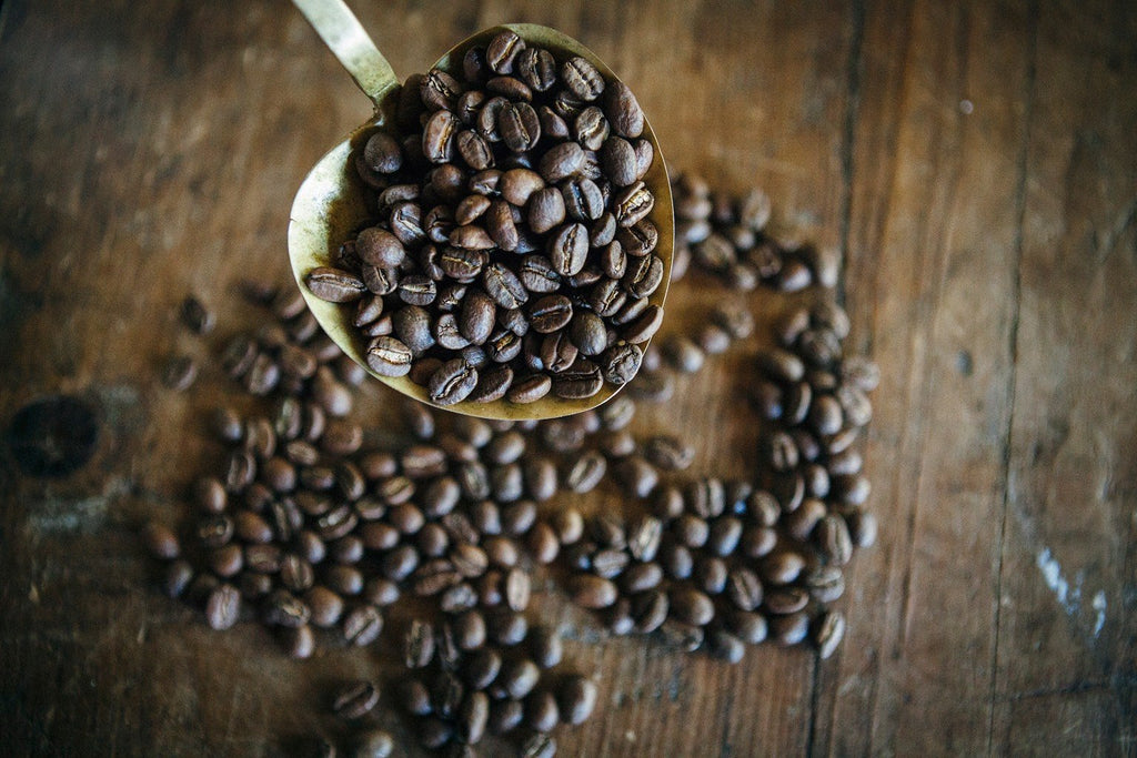 Zenbunni :: Coffee of the Cosmos