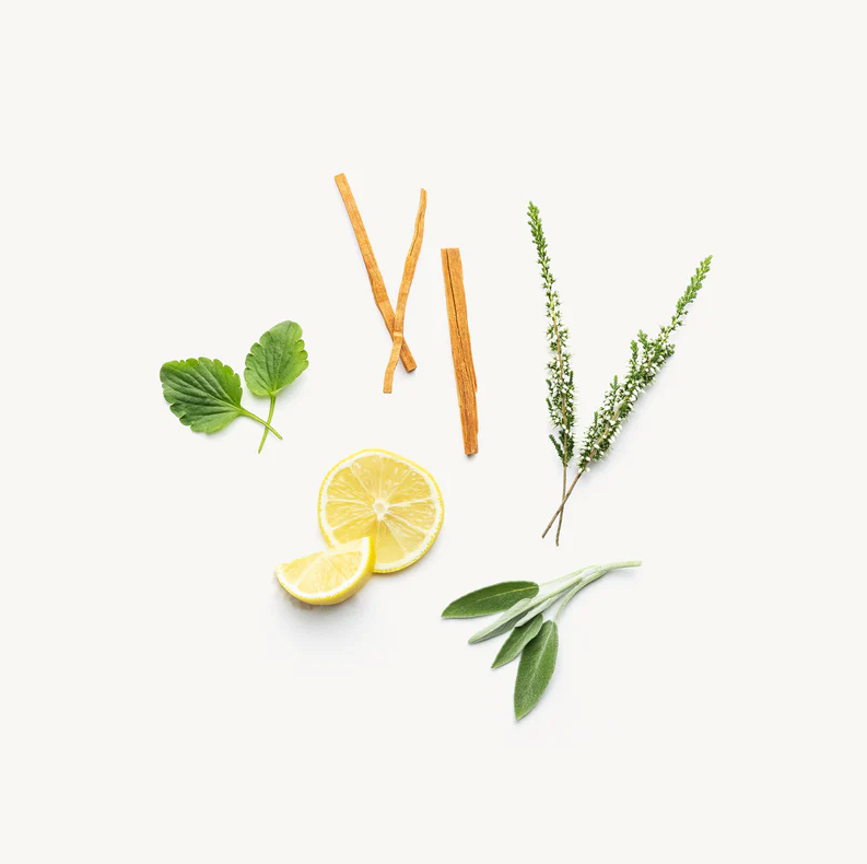 Evolve Together :: Deodorant Duo Set