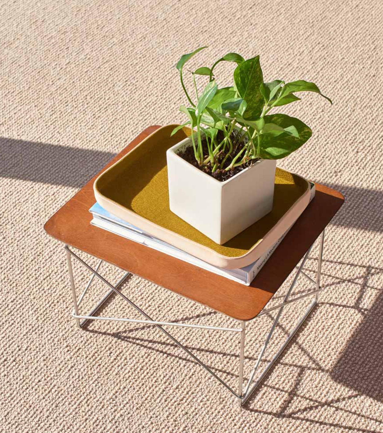 Graf Lantz :: Large Leather/Felt Lined Catchall