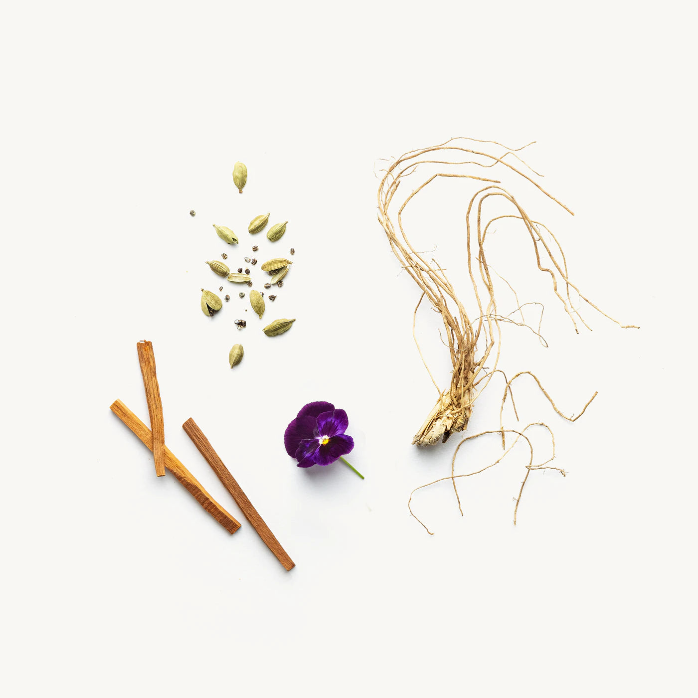 Evolve Together :: Natural Deodorant