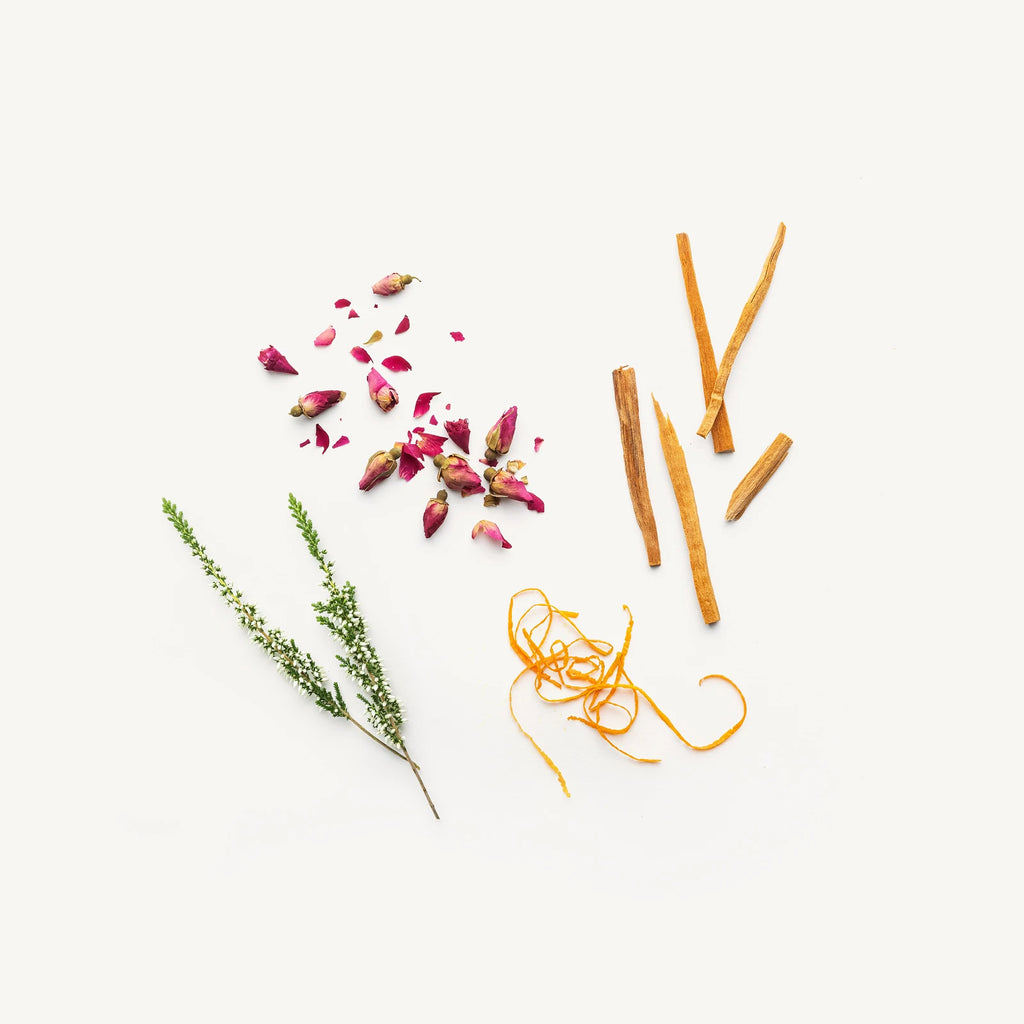 Evolve Together :: Natural Deodorant