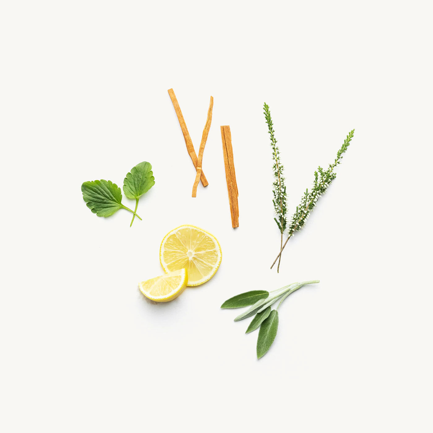 Evolve Together :: Natural Deodorant